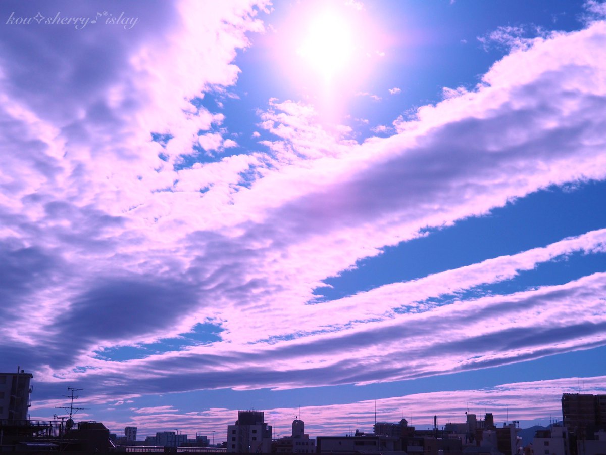 sherry_islay's tweet photo. ✴︎

君にしか

伝えられなかったこと

君にしか

伝わらなかったこと

そして

君に伝えられなかった

たくさんの言葉や思いは

あの日を境に

空に還っていった

だけど

今も忘れはしない

✴︎

#ファインダー越しの私の世界 
#写真で伝えたい私の思い 
#空のある風景 
#flower 
#omoi https://t.co/kaTm75f5EV