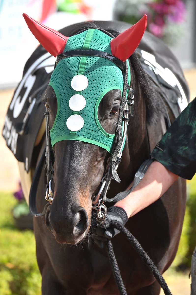 FF外から失礼。ウナギノボリ号の母の欄見たら『ノンキ』の文字。その兄さんとは、ビックリシタナモー号で、半弟だったのですか。それ以来のJRA特別戦勝利とは意外に(同じ馬主とはいえ)繋がっていたんですね。。