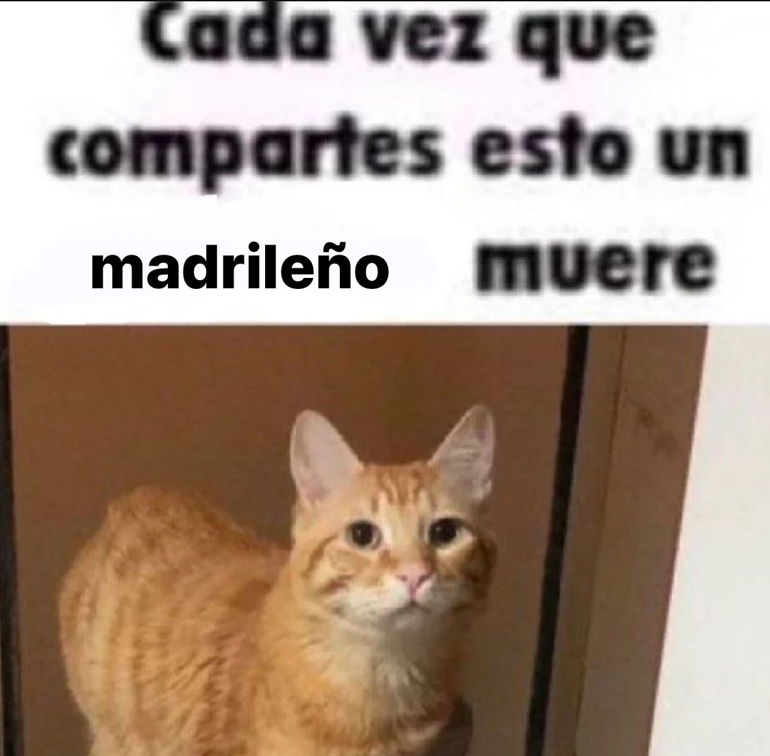 mayocigarro's tweet photo. https://t.co/0Za74Nzn8b