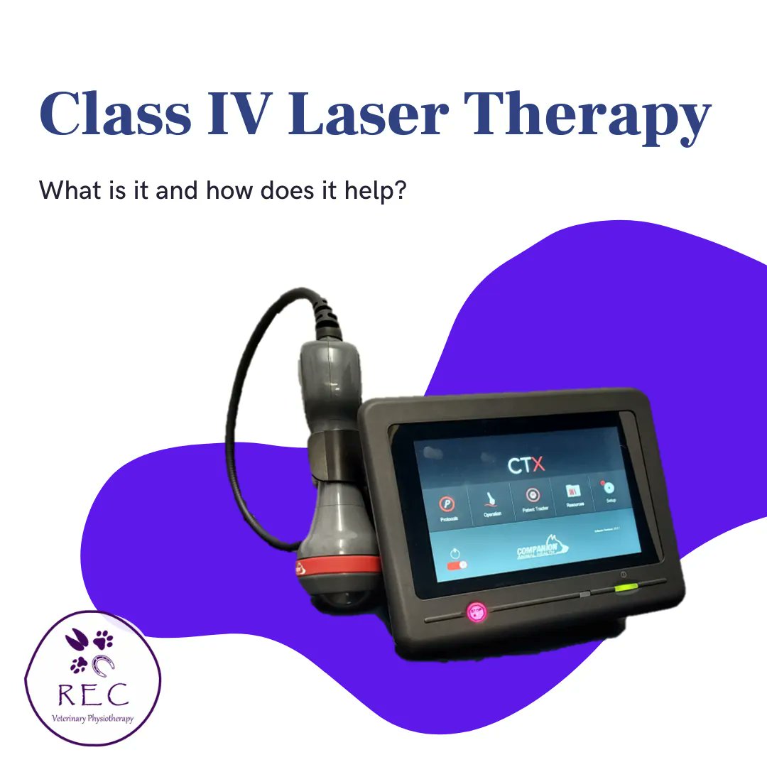 recvetphysio's tweet photo. Laser therapy can massively help your pet recover from injury, surgery and even some illnesses, so your pet can live their best life.
Call or text 07734 382578 to book your pet in for laser therapy today!
#recveterinaryphysiotherapy #recvetphysio #veterinaryphysiotherapy https://t.co/2fFeV4bEkL