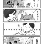 名前を呼んでも聞こえないふりをする愛猫に「ご飯食べる？」と訊ねると･･･!可愛すぎる猫漫画が話題に!