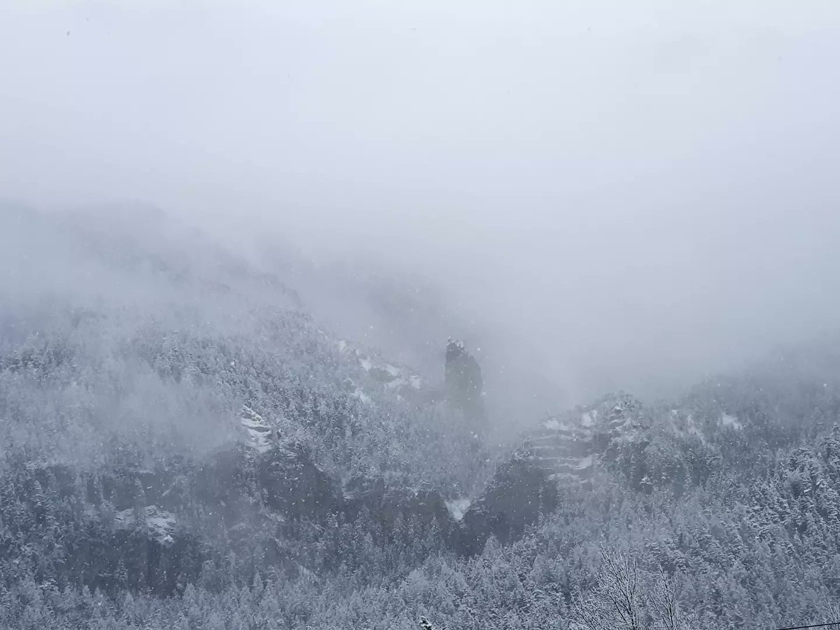 CrameriReto's tweet photo. Der Winter meldet sich zurück...😎
🥶
#Heimat #Surava #Albulatal #Crapfuro #Landwirtschaft #dobinidahai https://t.co/JZPkNW9JyA