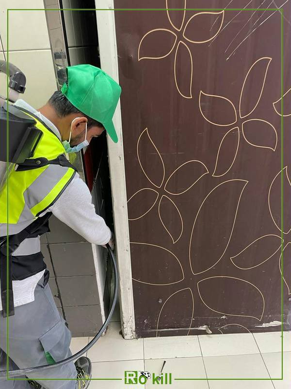 RusseellCO's tweet image. We care for the deep details, Rokill is ready to protect your property
 #rokill #pest_control #protection 
#saudi_arabia
====================
📞920011315
🌐rokill.com.sa
✉️info@rokill.com.sa