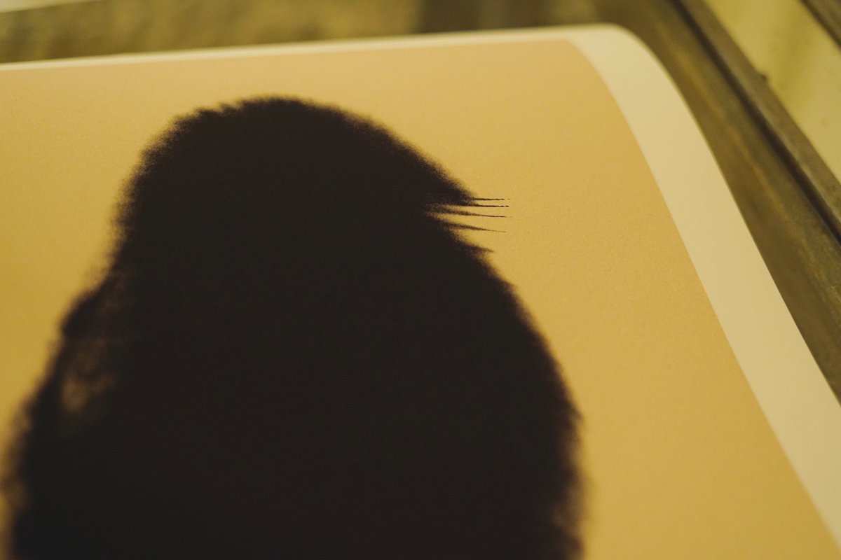 Le Bird noir 
➖
Auctioned at <a href="/Sothebys/">Sotheby's</a> 7-14 March