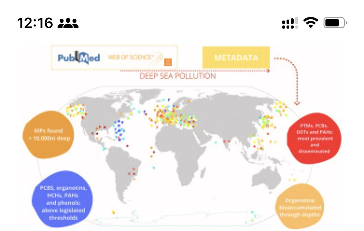 Raquel Peixoto (@peixotors) on Twitter photo Micropollutants (MPs) were detected at harmful concentrations and some MPs were detected at depths of >10,000 m 😱
Microplastics could be found accumulated at 6000 m. 😫 <a href="/SETAC_plastics/">SETAC Microplastics Interest Group</a> <a href="/microplastics_/">Microplastic News</a> <a href="/BBCWorld/">BBC News (World)</a> <a href="/Forbes/">Forbes</a> <a href="/WIRED/">WIRED</a> <a href="/deepseanews/">Deep Sea News</a> <a href="/DeepSeaConserve/">Deep Sea Conservation Coalition</a> sciencedirect.com/science/articl… Micropollutants (MPs) were detected at harmful concentrations and some MPs were detected at depths of >10,000 m 😱
Microplastics could be found accumulated at 6000 m. 😫 <a href="/SETAC_plastics/">SETAC Microplastics Interest Group</a> <a href="/microplastics_/">Microplastic News</a> <a href="/BBCWorld/">BBC News (World)</a> <a href="/Forbes/">Forbes</a> <a href="/WIRED/">WIRED</a> <a href="/deepseanews/">Deep Sea News</a> <a href="/DeepSeaConserve/">Deep Sea Conservation Coalition</a> sciencedirect.com/science/articl…