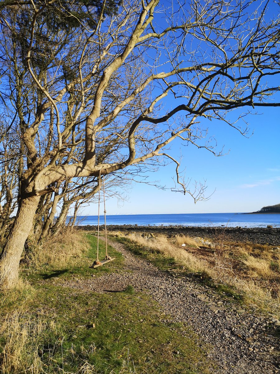 PoshPedlar's tweet photo. Swim and walk and swing. Busy afternoon at Rigg Bay.
#TodayWillBeAGoodDay
#DevorgillaDays
#DumfriesAndGalloway
#Wigtown https://t.co/fJsLUR5QI8