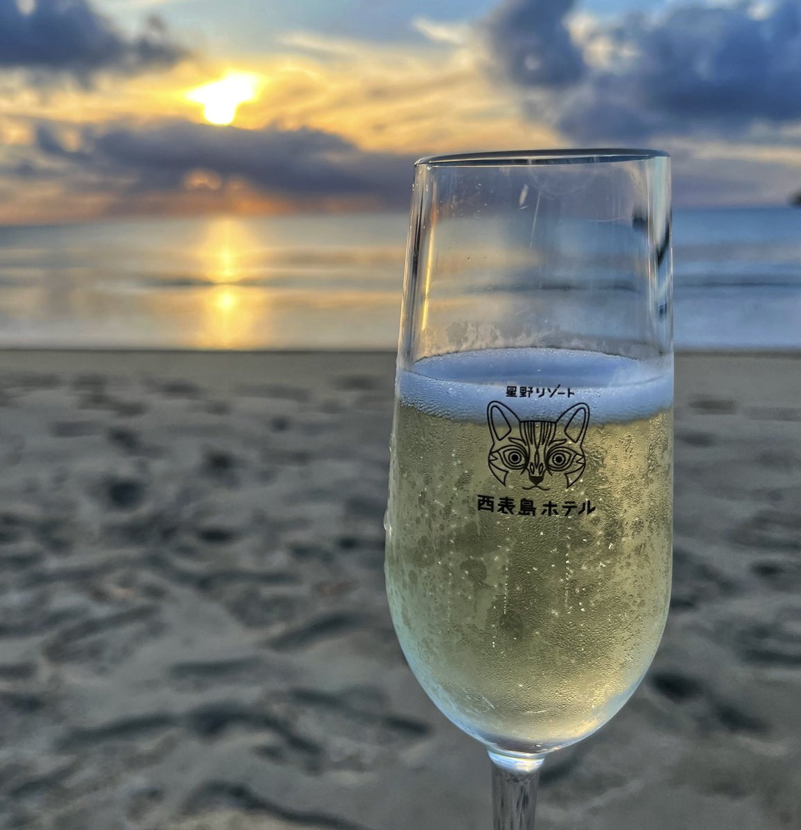 MilerStallion's tweet photo. 始めました🥂✨ https://t.co/HtSDi522Or