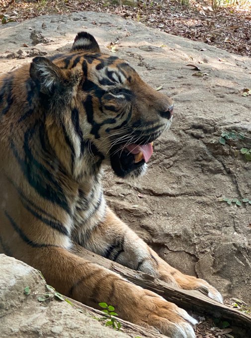 動物園してきたぞい🦁🦒 