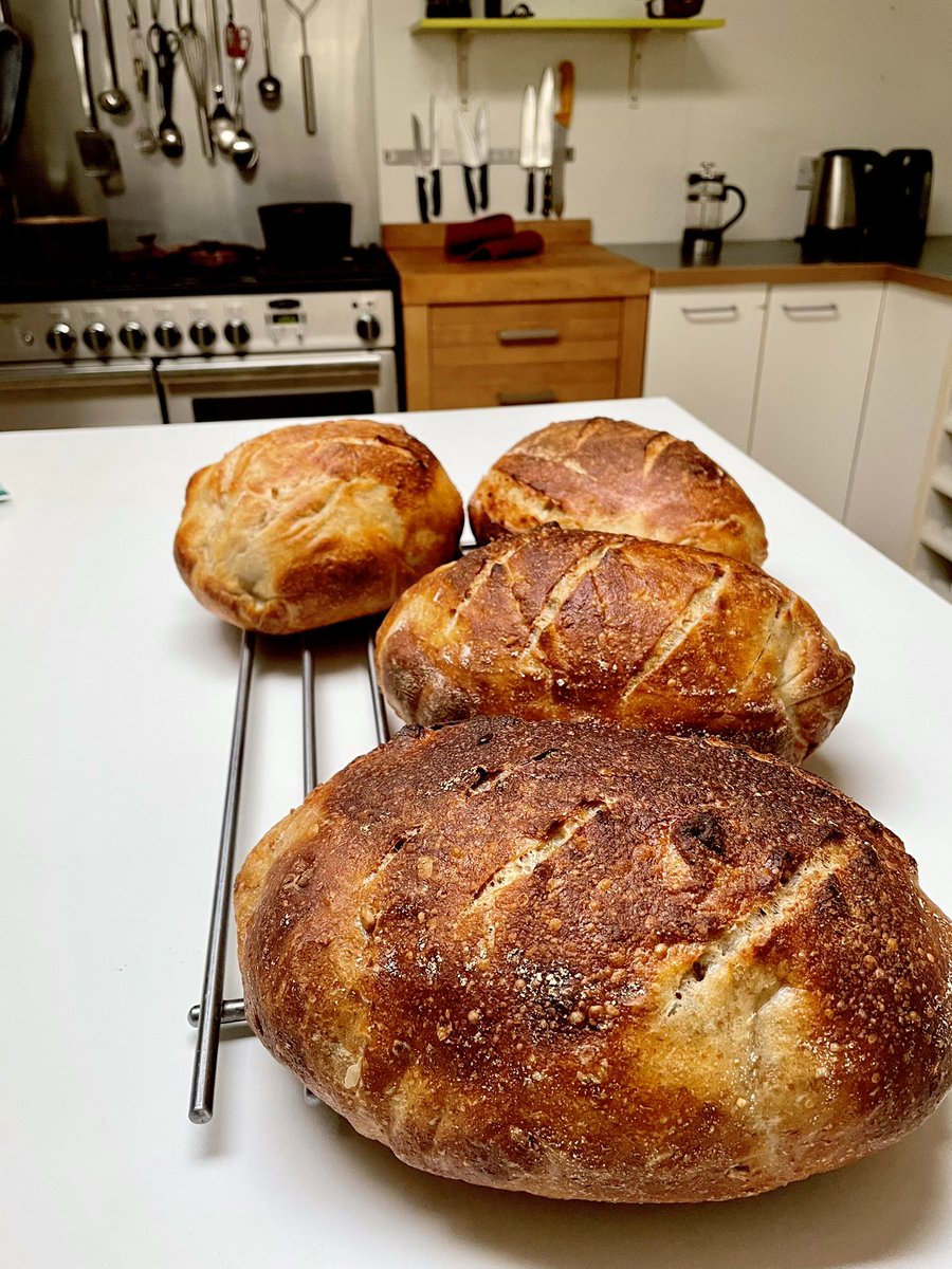 These 4 loaves are borderline over proved. Left on the counter overnight they have risen too well and this can make the dough liable to collapse. Placing them in the fridge to retard the rise would have been better. The finished loaves aren’t too bad. #bakingbread #poolishbread
