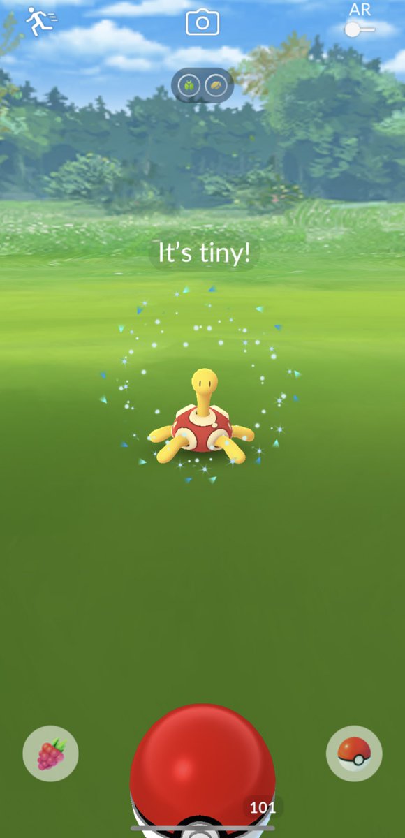 Joeeeyyy_13's tweet photo. Why couldn’t you be blue 🥲 #tinypokemon #PokemonGO #PoGo #PoGoUK #Letsgo #shuckle https://t.co/GAamA1RL6X