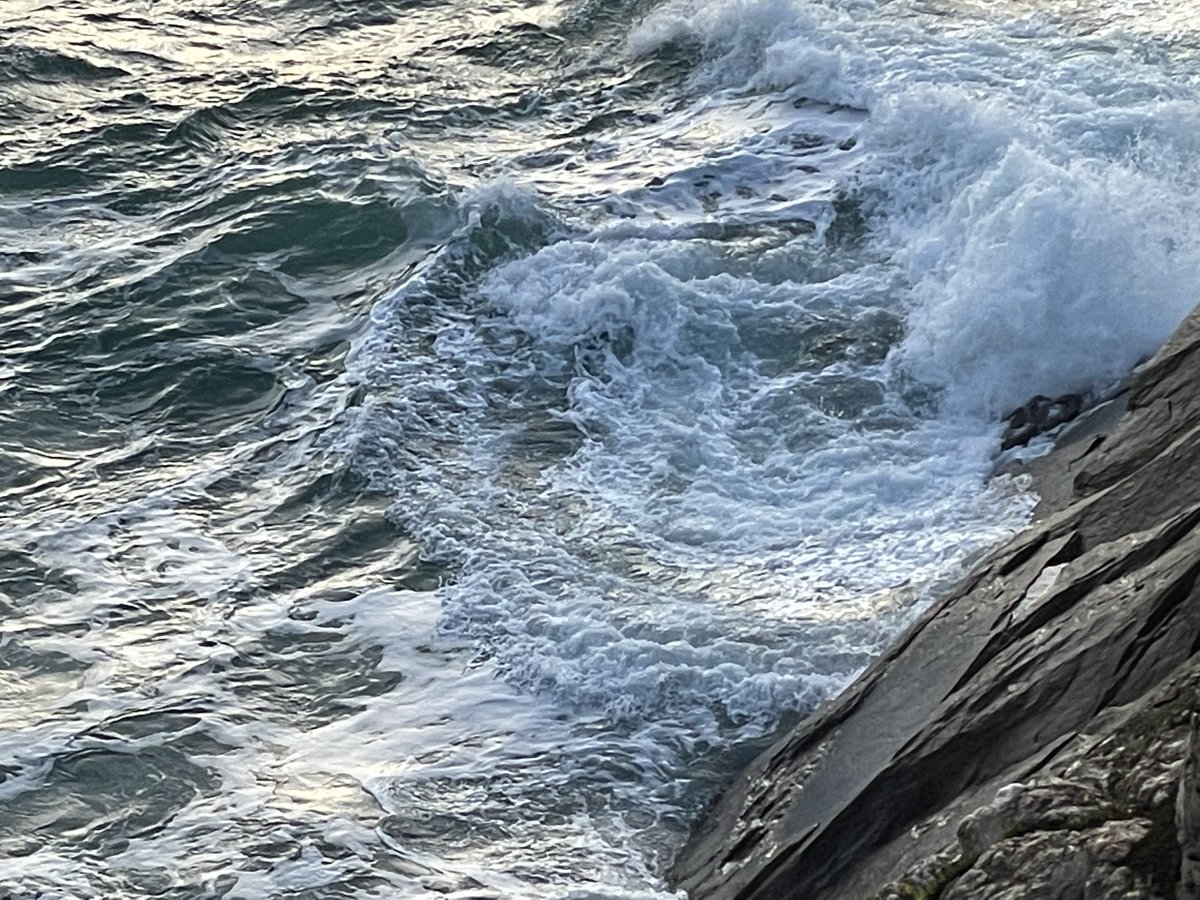 Véronique Queffélec tweet media