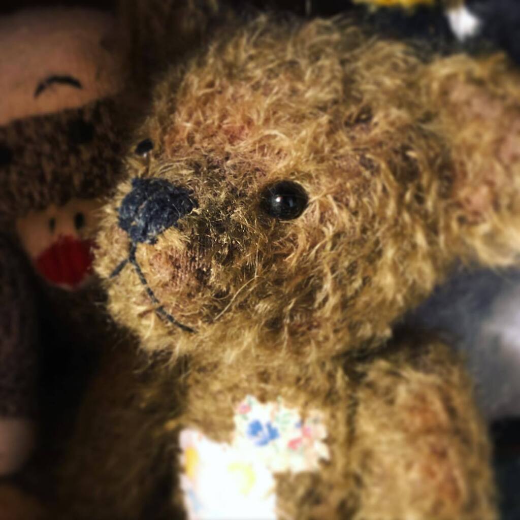 & テディ♡ページです•*¨*•.¸¸☆ AMBIDEX Store didizizi 10th anniversary｜AMBIDEX（アンビデックス）