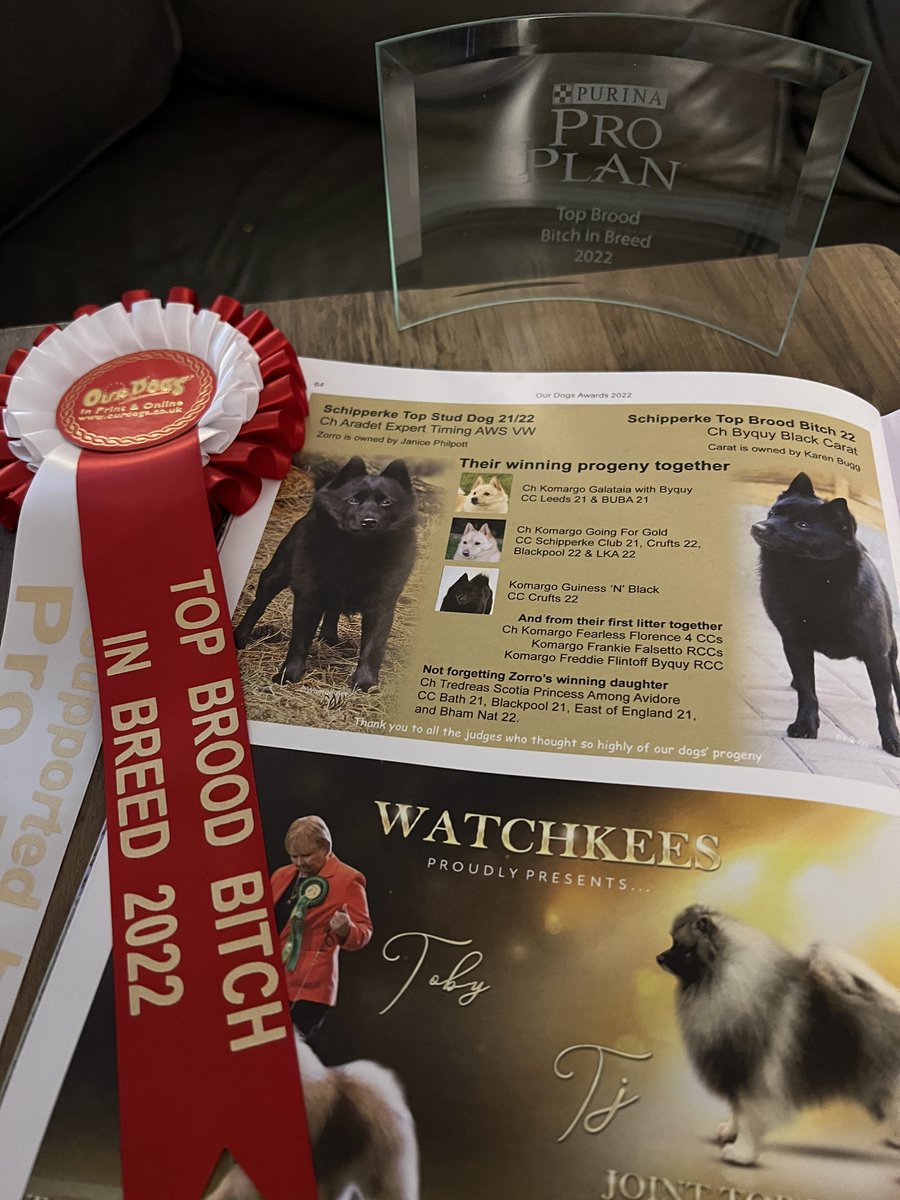 Carat was top Brood in breed for 2022.