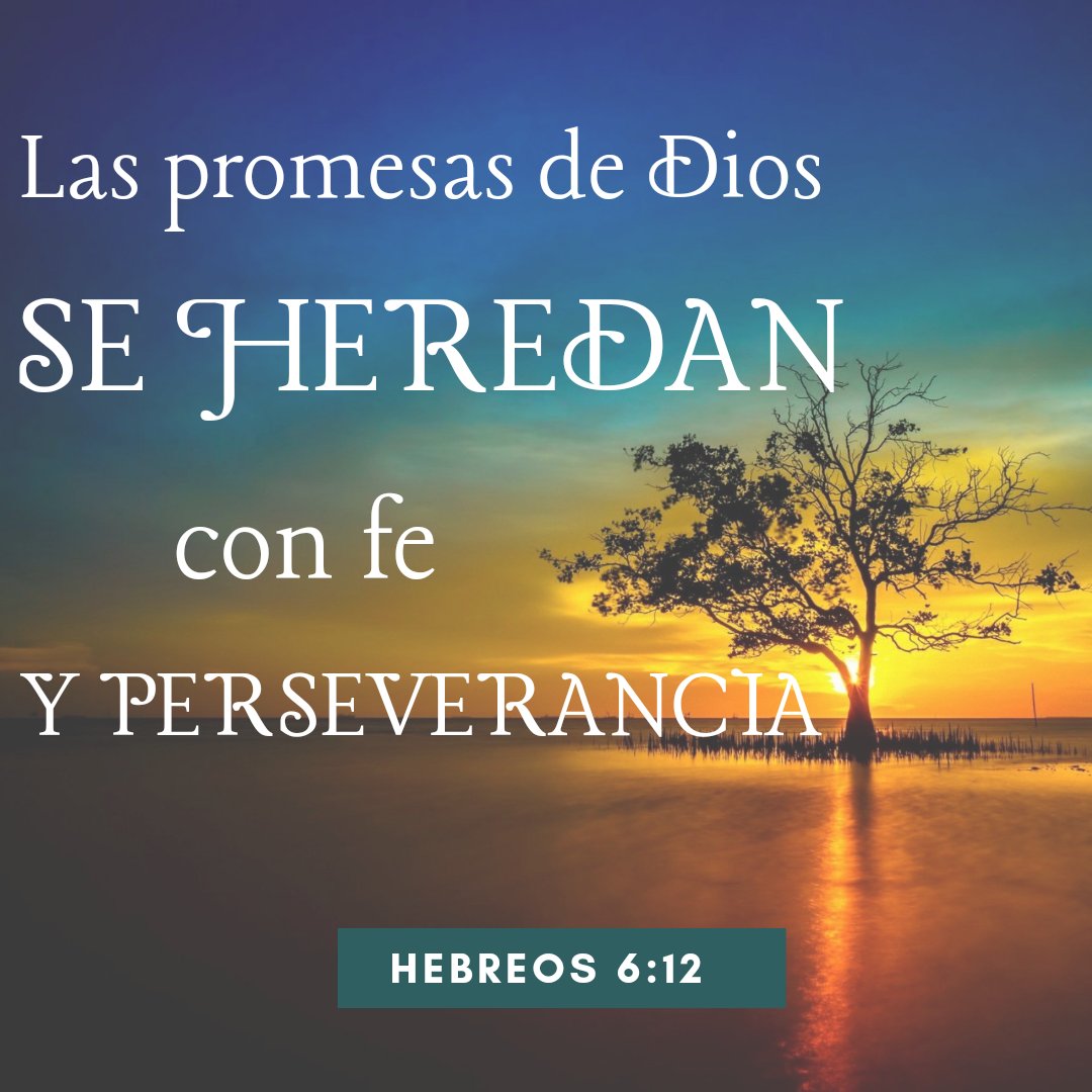EstebanMontero's tweet photo. Creer en aquel que promete y esperar con paciencia su voluntad... Señor, gracias por tus promesas https://t.co/tmvO1uN4bI