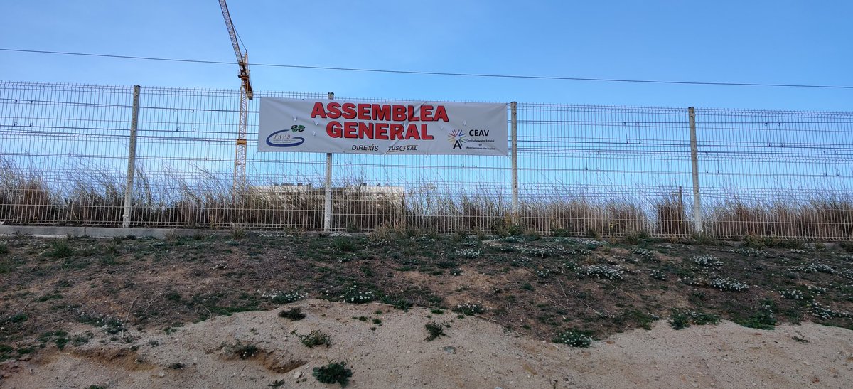 F.A.V.B.(Badalona) tweet media