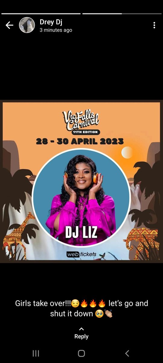 Count down to the carnival <a href="/VicFallCarnival/">Vic Falls Carnival</a>