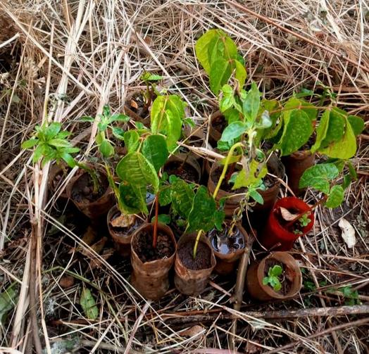 Mentorship Improves Children’s Response to Climate Change in North West Cameroon

Read more here 👇🏽 
vonat.org/mentorship-imp…

@earthrisingfdn
#ClimateChange #ClimateResponse #LandscapeRestoration #climatecrisis #TreePlanting #Tree