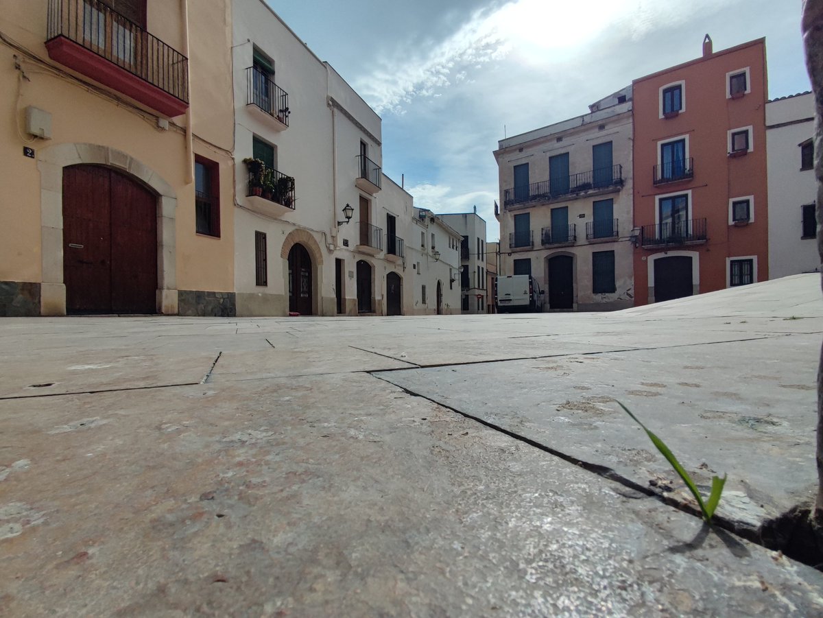 Malgrat la sequera... #VestigisDeCarnaval. <a href="/VIDALOT_VNG/">VIDALOT</a>