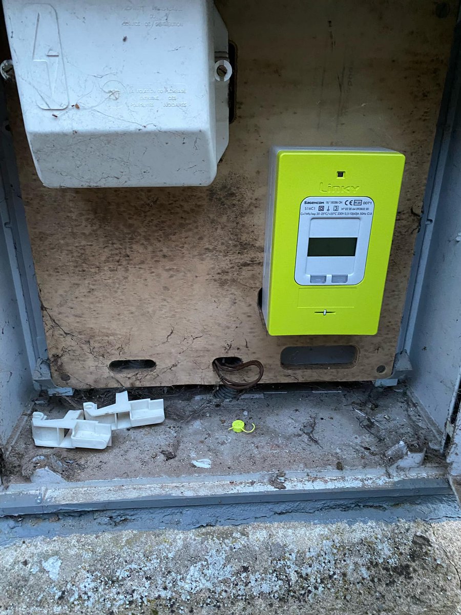 Véronique Guillotin tweet media