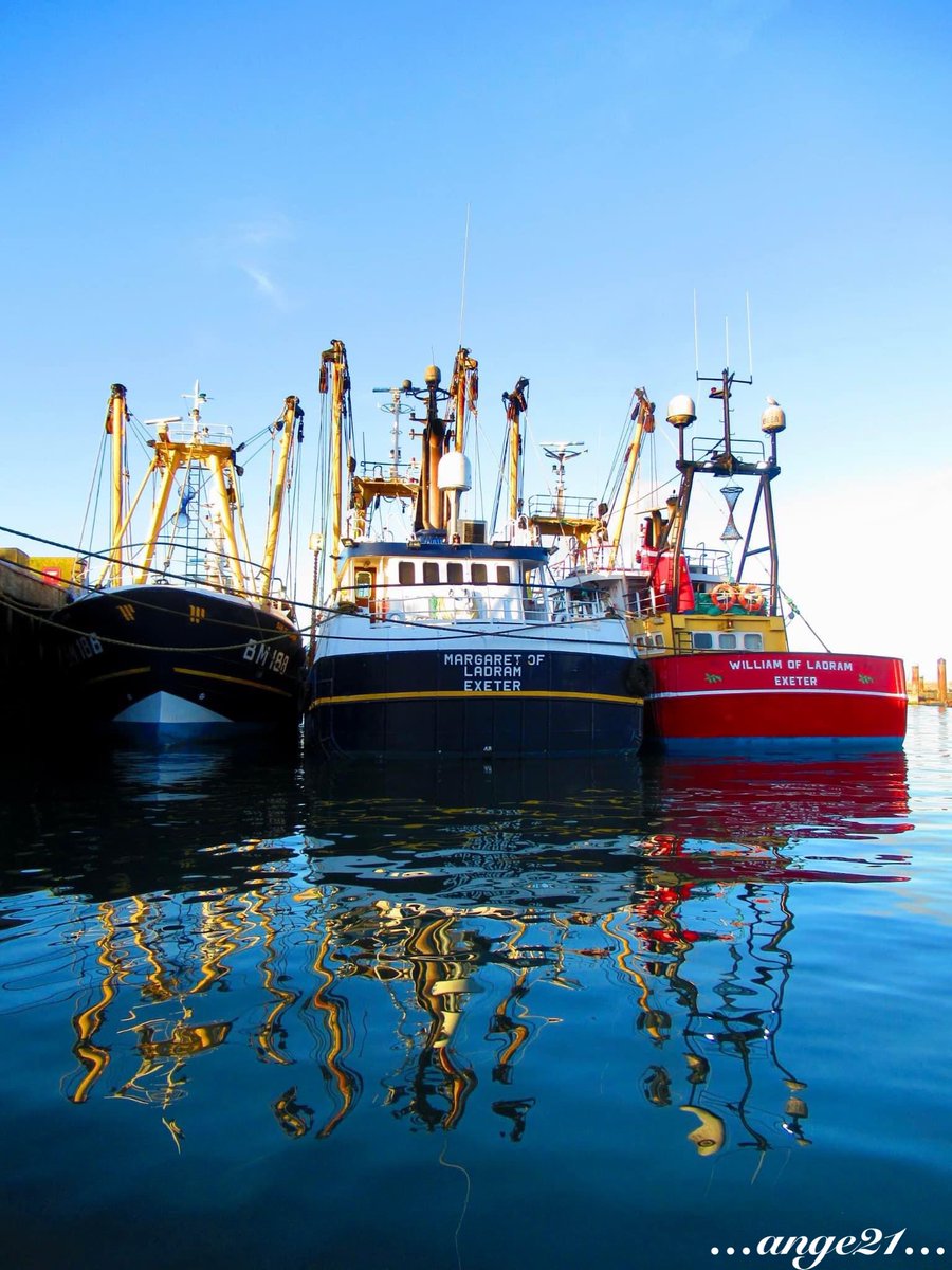 Photo of the day…..
Trawler reflections.
#trawler #brixham #trawlermen #ladram #fishermen #reflections #brixhamharbour #englishriviera #brixhamtrawler #plymouthphotographer #lifethroughalens #sealife #boats #devon #ange21 #torbay
ange21.picfair.com