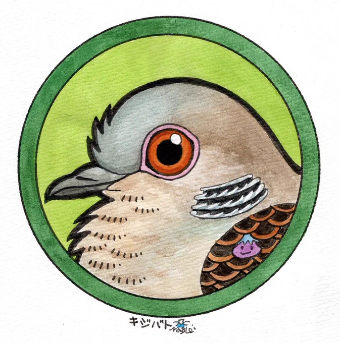 「缶バッジの鳥たち」キジバトを描いてみました。 