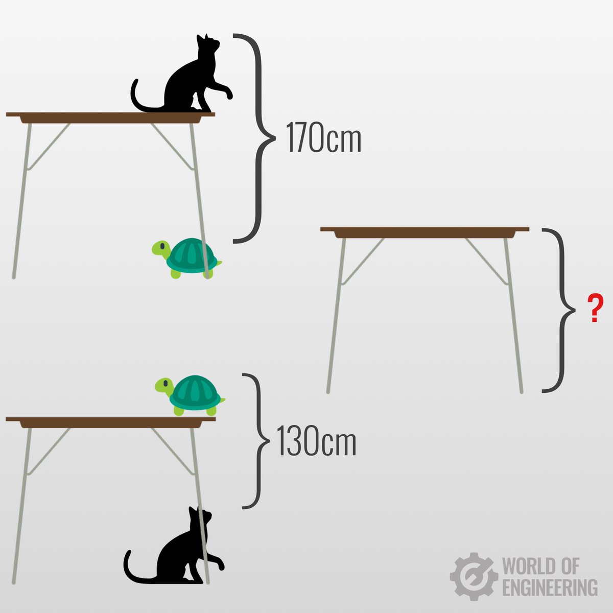 Çin'de ilkokul ödevi: Masanın yüksekliğini bulun.