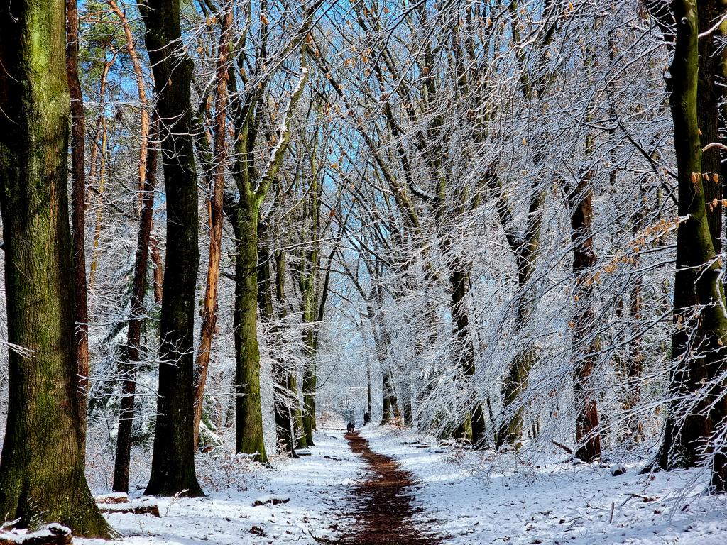 Wat is het mooi buiten! 😍 #Arnhem