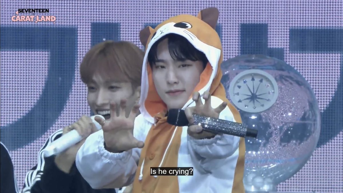 sounds_of_cheol's tweet photo. hoshi cutest hamster!!!

"is he crying?" 😭🤣🤣 https://t.co/4maFnExCl8