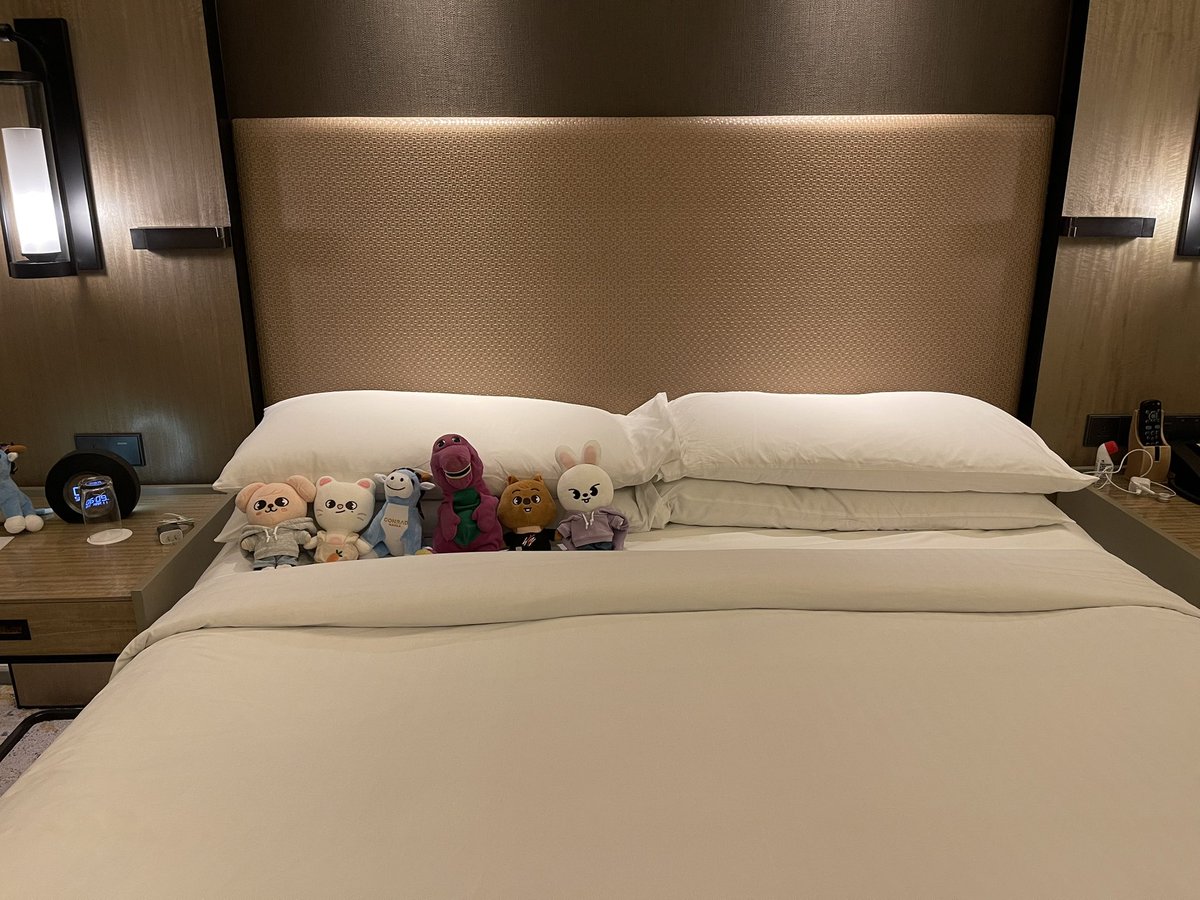 zZz tweet media
