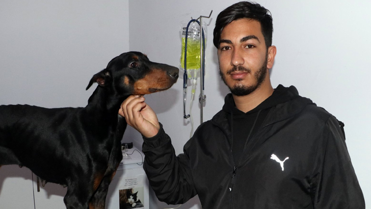 ২৮ দিন পর তুরস্কে ধ্বংসস্তূপ থেকে বাচ্চাসহ জীবিত কুকুর উদ্ধার!