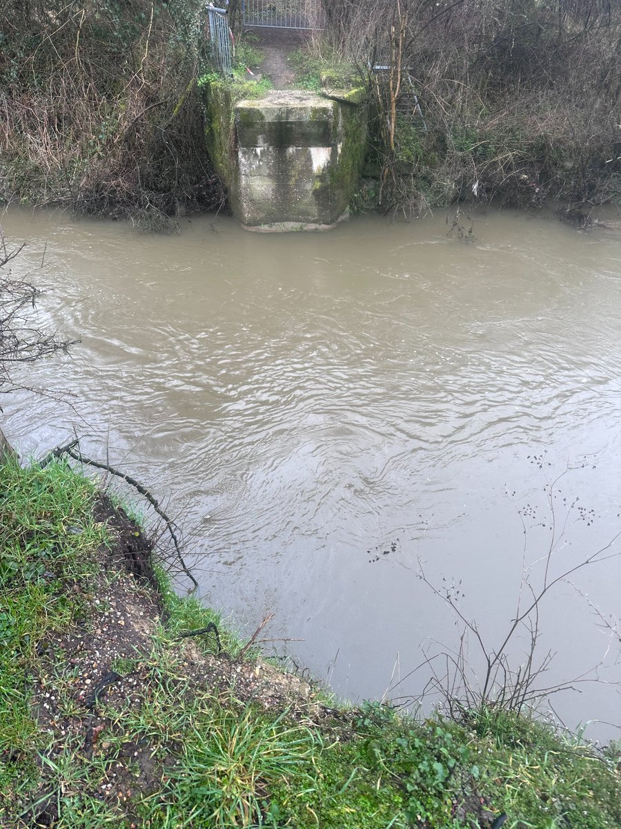 Joost Simons tweet media