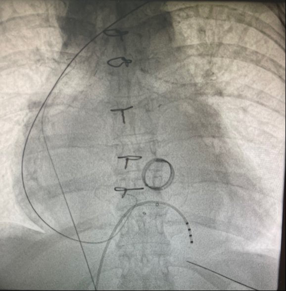 Italian Cardiologists Of Tomorrow tweet media