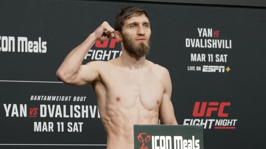 UFC Fans tweet media