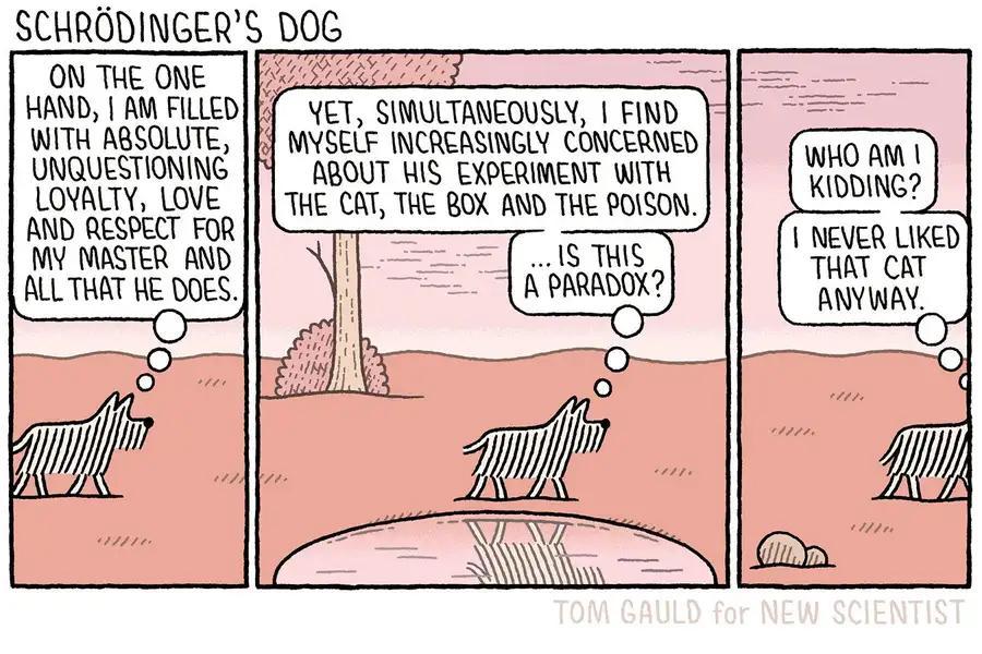 newscientist's tweet photo. Schrödinger's dog, by @tomgauld
https://t.co/PsUvB0gJdF https://t.co/YlIoG2Yv6c