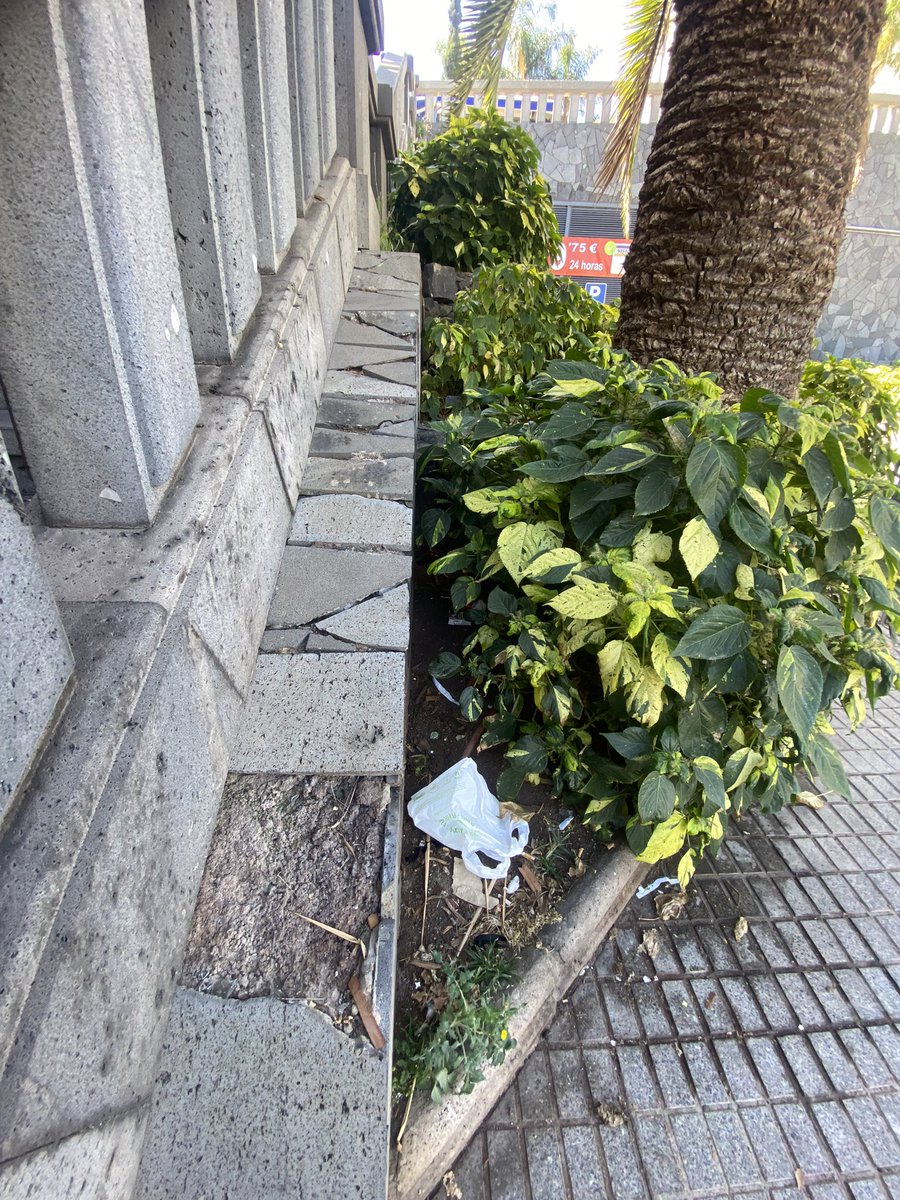 Esther (@fonsalia9) on Twitter photo 