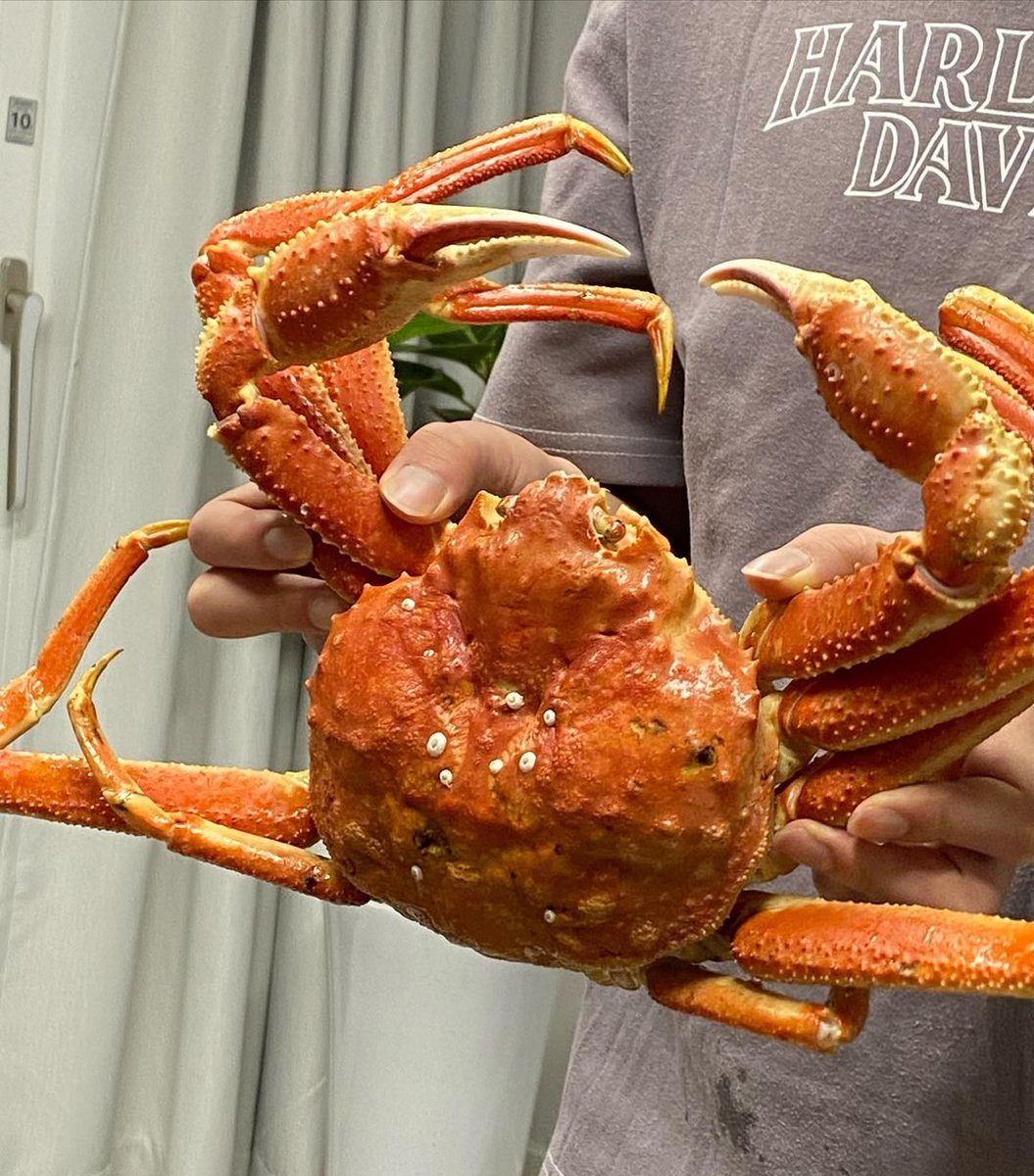 Jenny Chen (@zacievi) on Twitter photo 