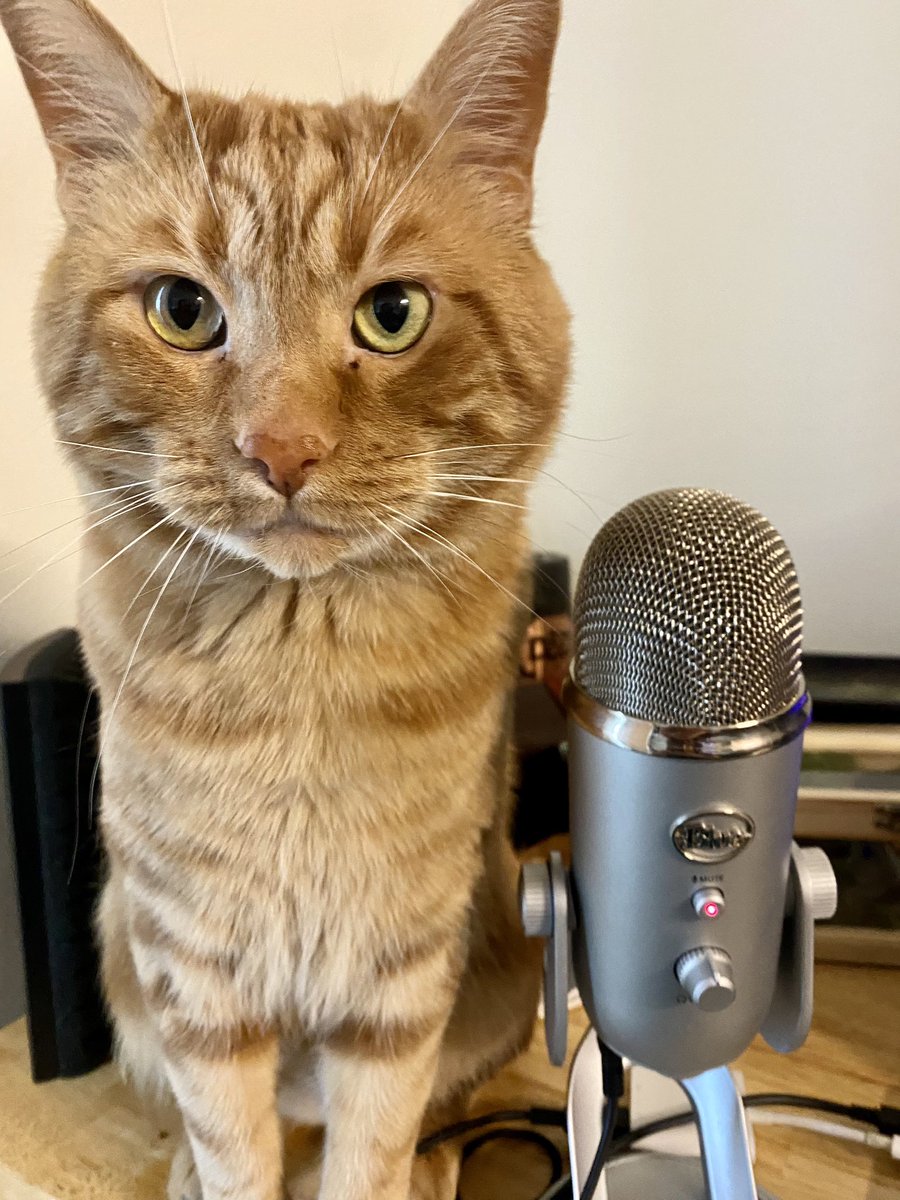 New episode out today! We are changing our release days to Saturday to help make editing better for Jordan. Thank you all for your love and support. We are getting on a more consistent schedule because things are heating up. Make sure to check it out!