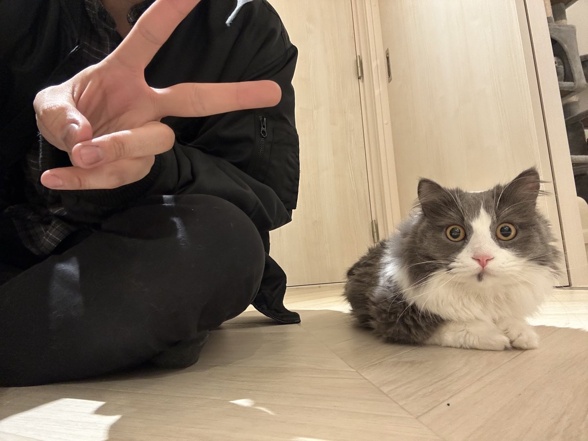 今日は相棒 もぷ の1歳の誕生日。 一目惚れしてうちに迎えて…あんなに