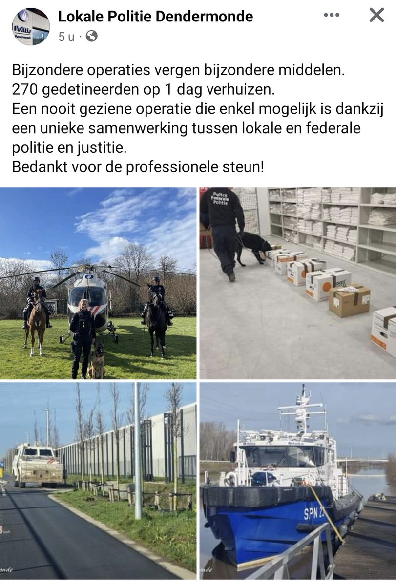 Amelie Albrecht tweet media