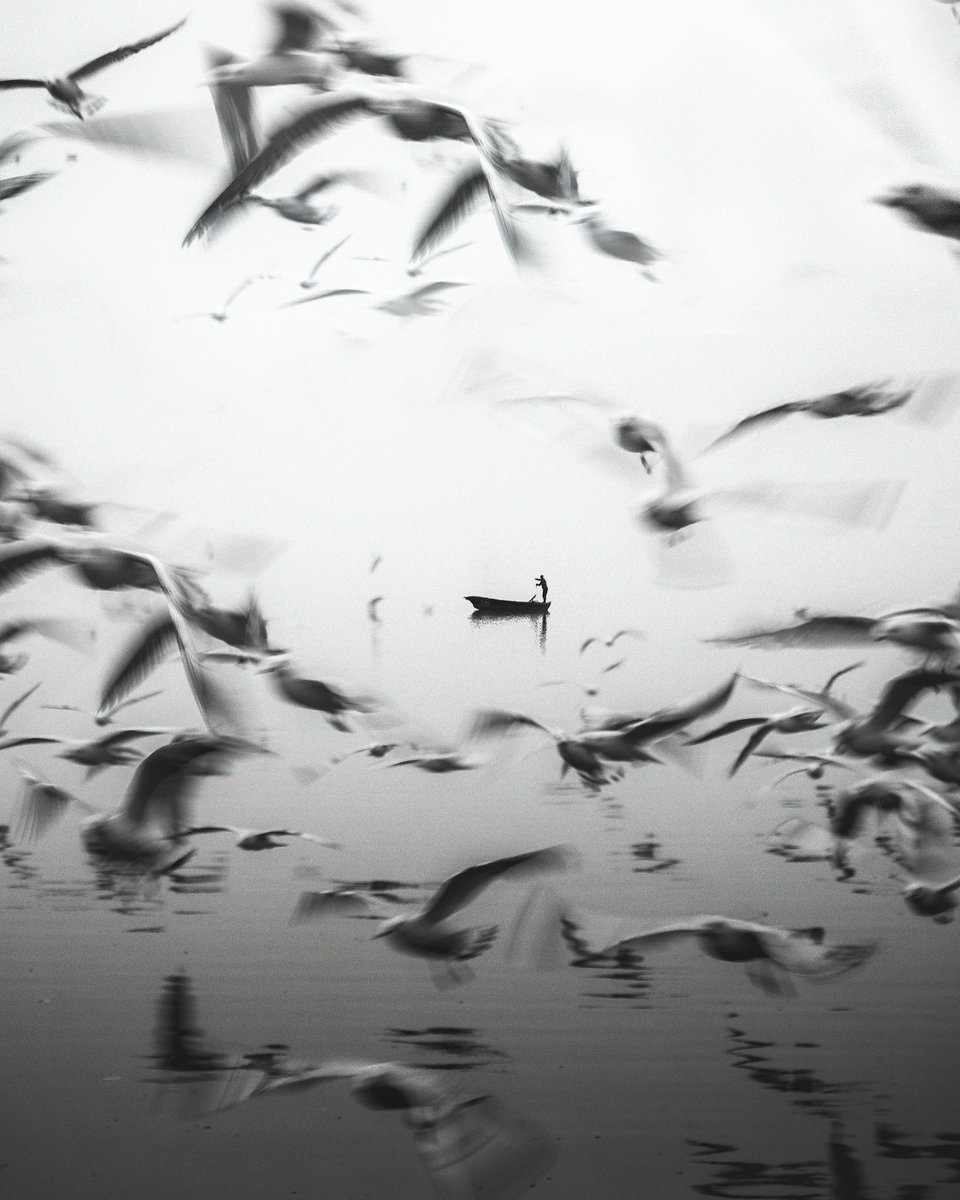 theburrownft's tweet photo. finding calm in stillness and in motion. https://t.co/Vx46rqJ6Hn