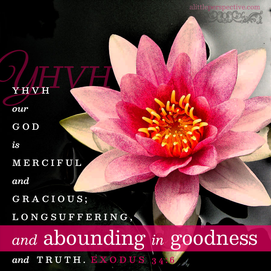 Christine982Mil's tweet image. THREAD:
YHVH our God is merciful and gracious; longsuffering, and abounding in goodness and truth. #Exodus 34:6 #Exodus4Us
Exo 30:11-34:35 makes a #ChiasticStructure (please see attached pic).
How can it be that the A pairs relate?
We saw previously that the 1A pair reveals ...