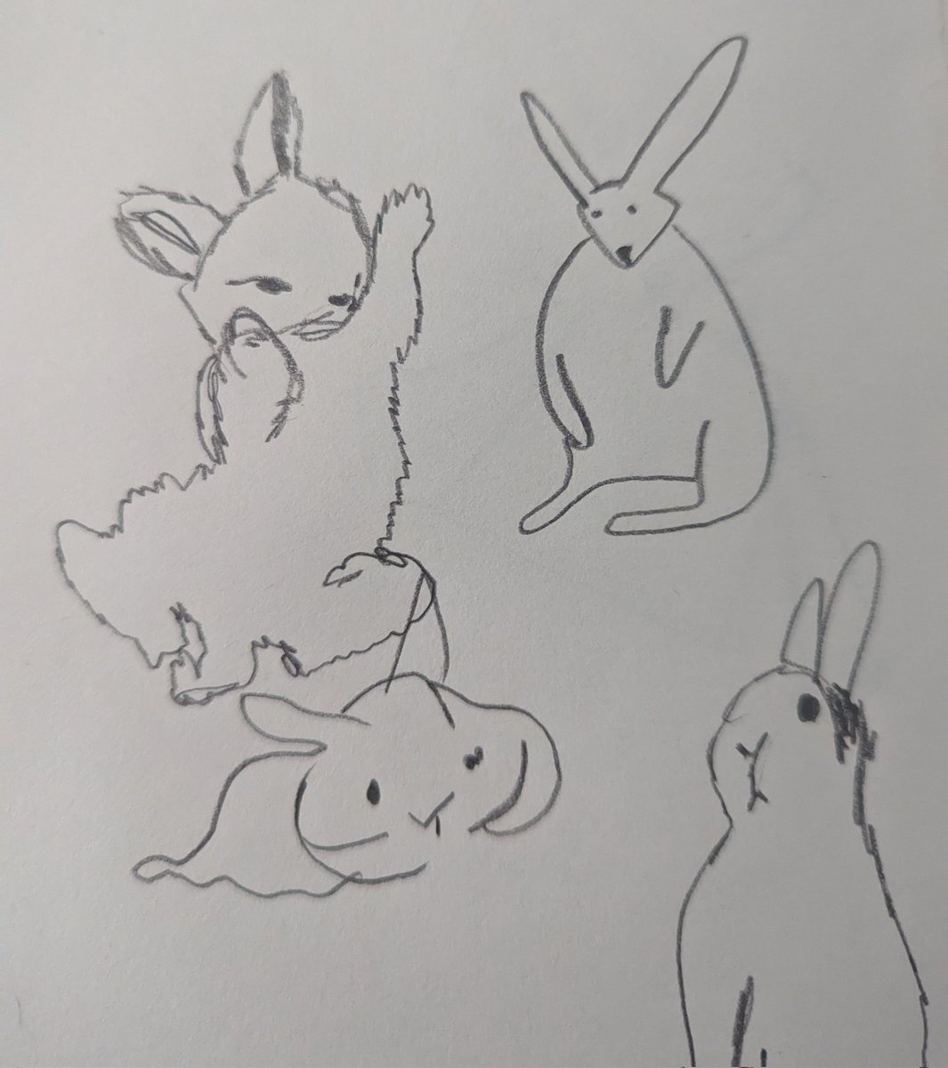 momo rabbit tweet media