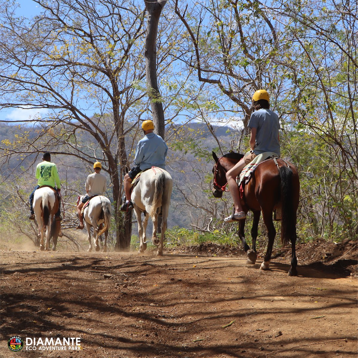 DiamantePark's tweet photo. The day is long, but the adventure keeps coming. Discover why you should visit Costa Rica and live the experience at Diamante Eco Adventure Park. π€©
Book now: https://t.co/p2nRHfW3dJ #diamanteadventure #atvs #guanacaste #adventure #costarica #atvtour #wildlife #diamantecostarica https://t.co/0FP4giXUlF