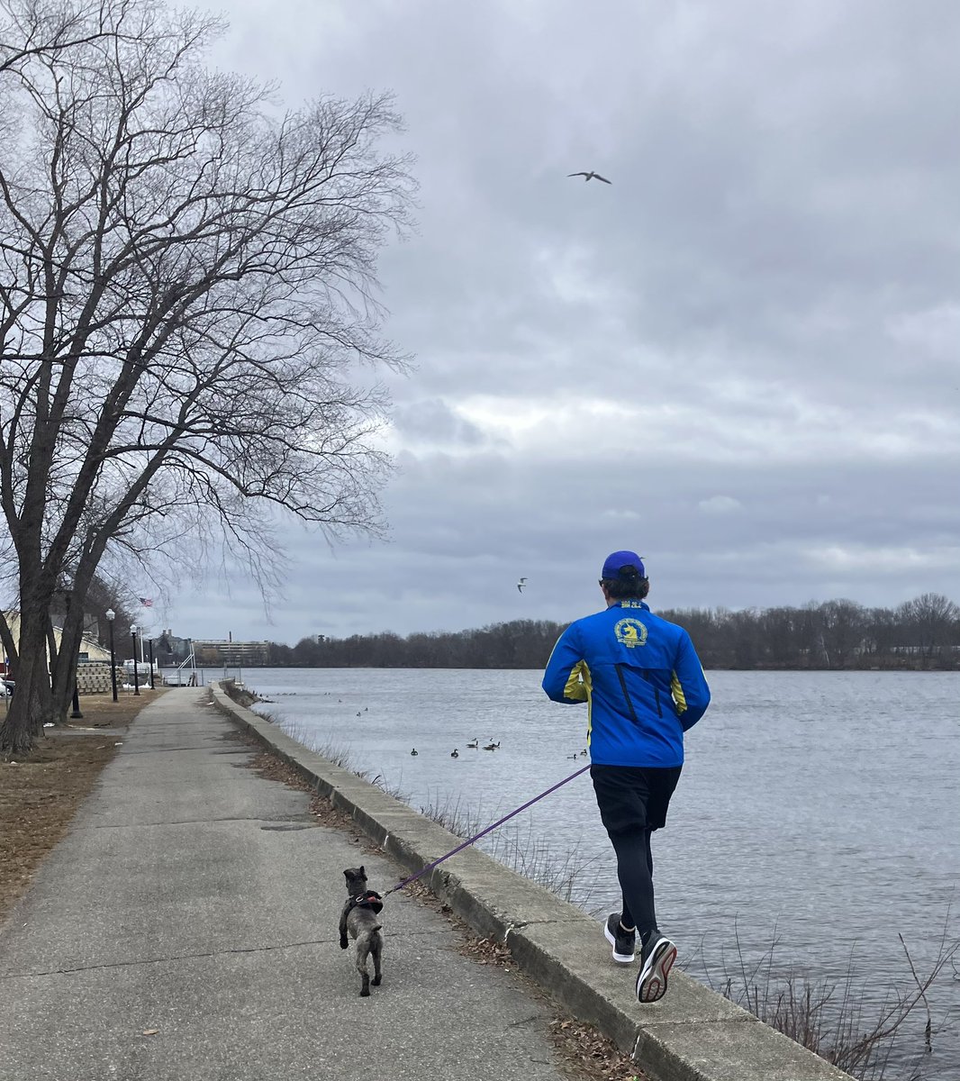 patrickecook's tweet photo. Running through #Lowell’s Pawtucketville neighborhood today with the #EStreeters - great friends, great memories, and good to learn we’re outside the statute of limitations of college hijinks @ChewieCook @AndrewCooker @jpiekos @Scanlon65 @cborges_2004 https://t.co/COQGRmrDWv