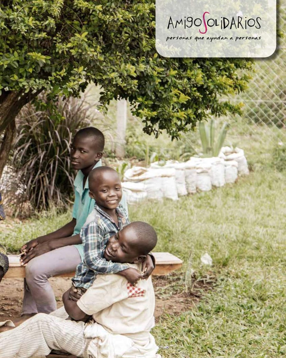 Nuestra Memoria Anual 2022

amigosolidarios.com/wp-content/upl…

Nuestro agradecimiento a todos los que "nos ayudáis" a escribir estas páginas y por vuestra generosidad.