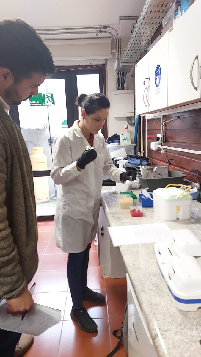 MACH_Noticias's tweet photo. Ayer se realizó una demostración del uso de la Maleta-Laboratorio para profesionales de @Intesal1, en dependencias de @crean_ifop. El objetivo es introducir técnicas de biología molecular como complemento a la detección de microalgas nocivas. @ifop_periodista @Ufromedios https://t.co/olLhY4Y3Qw