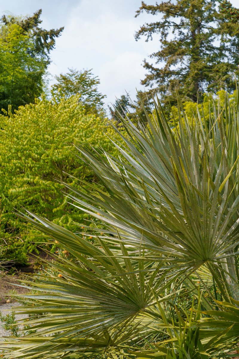 Hortlandia takes place April 7th and 8th at the Hillsboro Westside Commons. Get tickets to the Friday night Early Shopping Party or join us at the all day Saturday sale!