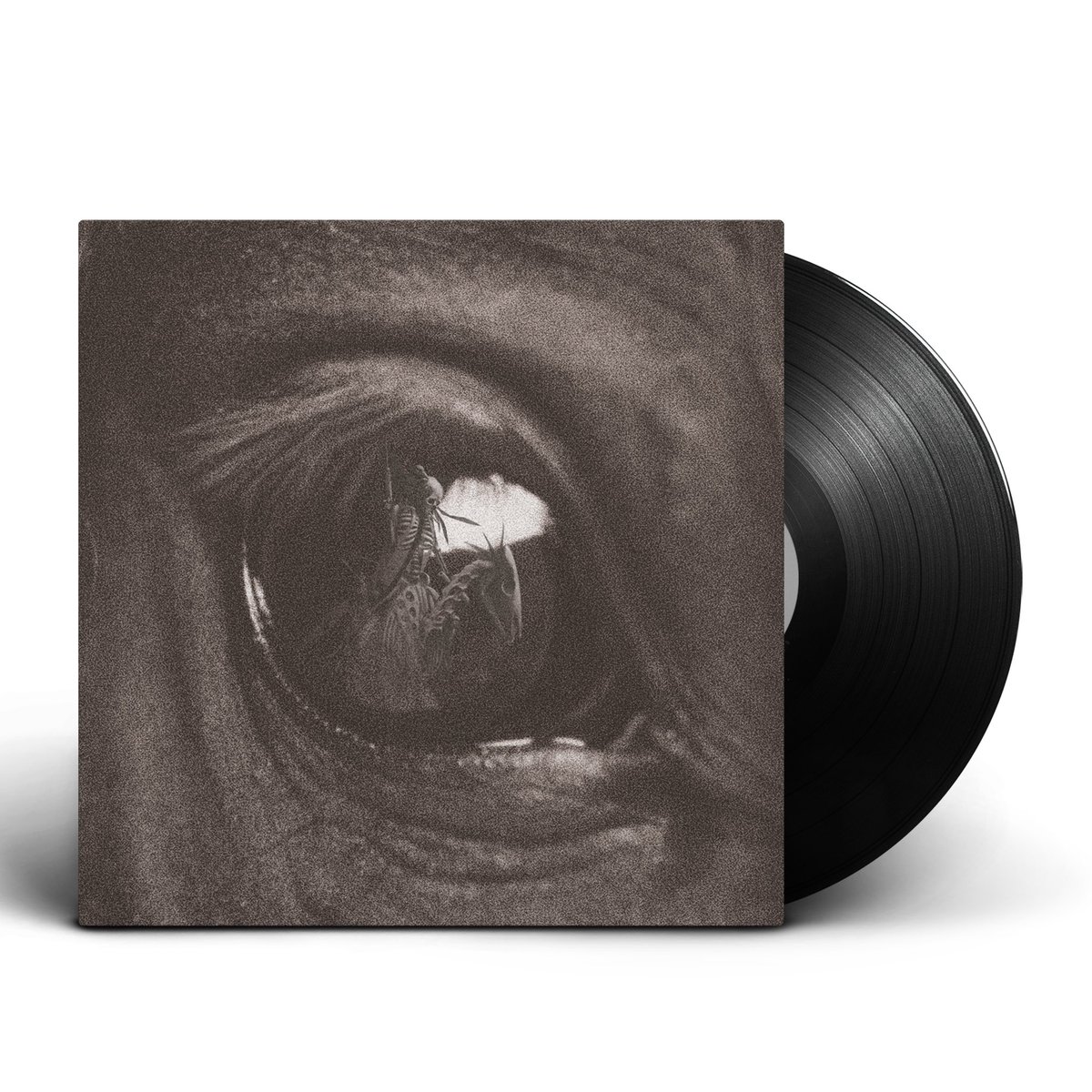 Sichtexot tweet media