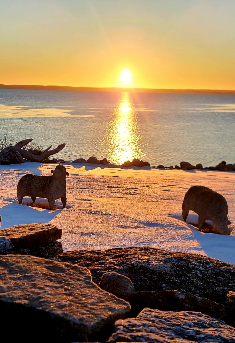 wilsack's tweet photo. Good Morning from Fox Point.  
Spring Ahead and Seas the Day.
#wilsack
#lovewhereyoulive 
#novascotia https://t.co/p2WE9yM40f