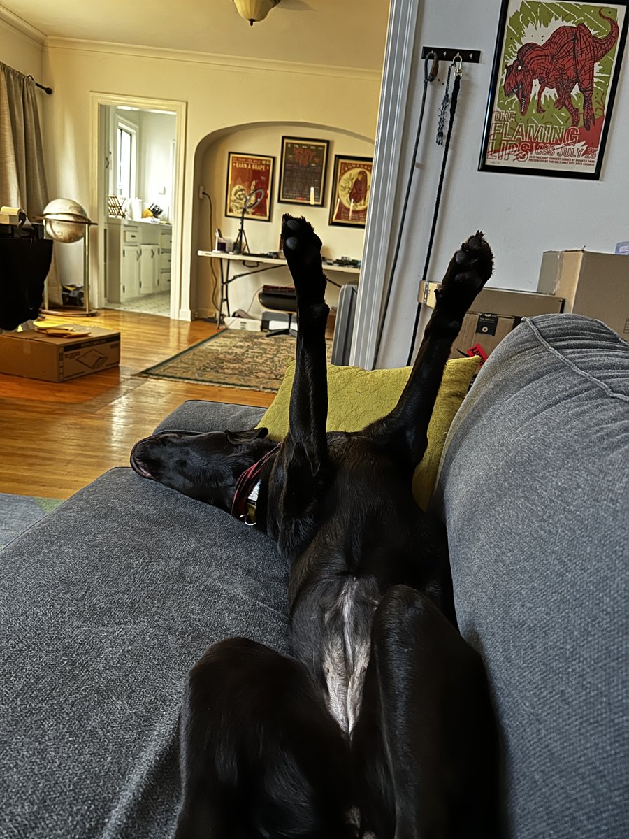 Matt Monroe tweet media